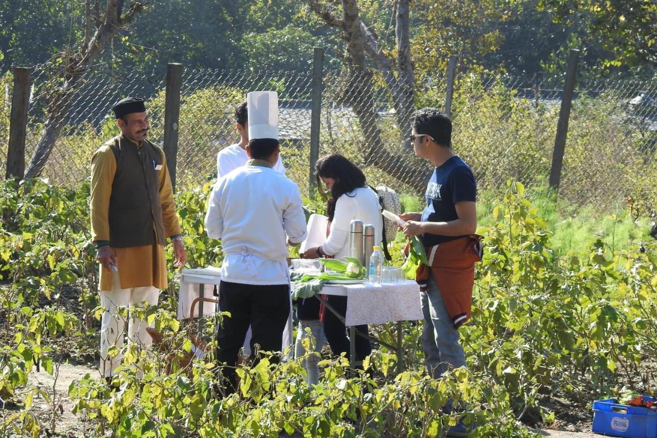 Paatlidun Safari Lodge, Jim Corbett Garjia Екстериор снимка